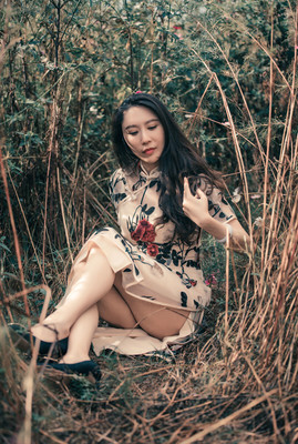 那一夜的午后幻想无修正